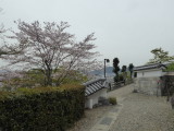 img0012.jpg