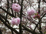 img0041.jpg