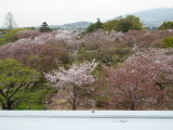 img0042.jpg