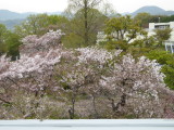 img0043.jpg