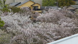 img0044.jpg