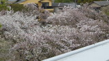 img0045.jpg