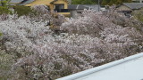 img0046.jpg
