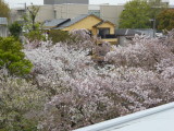 img0047.jpg