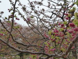 img0048.jpg