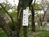 img0051.jpg