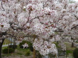 img0053.jpg