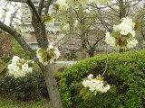 img0054.jpg