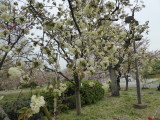 img0059.jpg