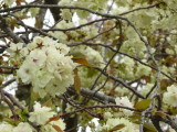 img0060.jpg