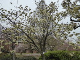img0064.jpg