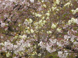 img0065.jpg