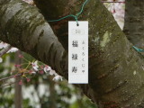 img0066.jpg
