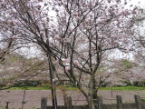 img0068.jpg