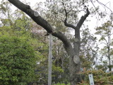 img0069.jpg
