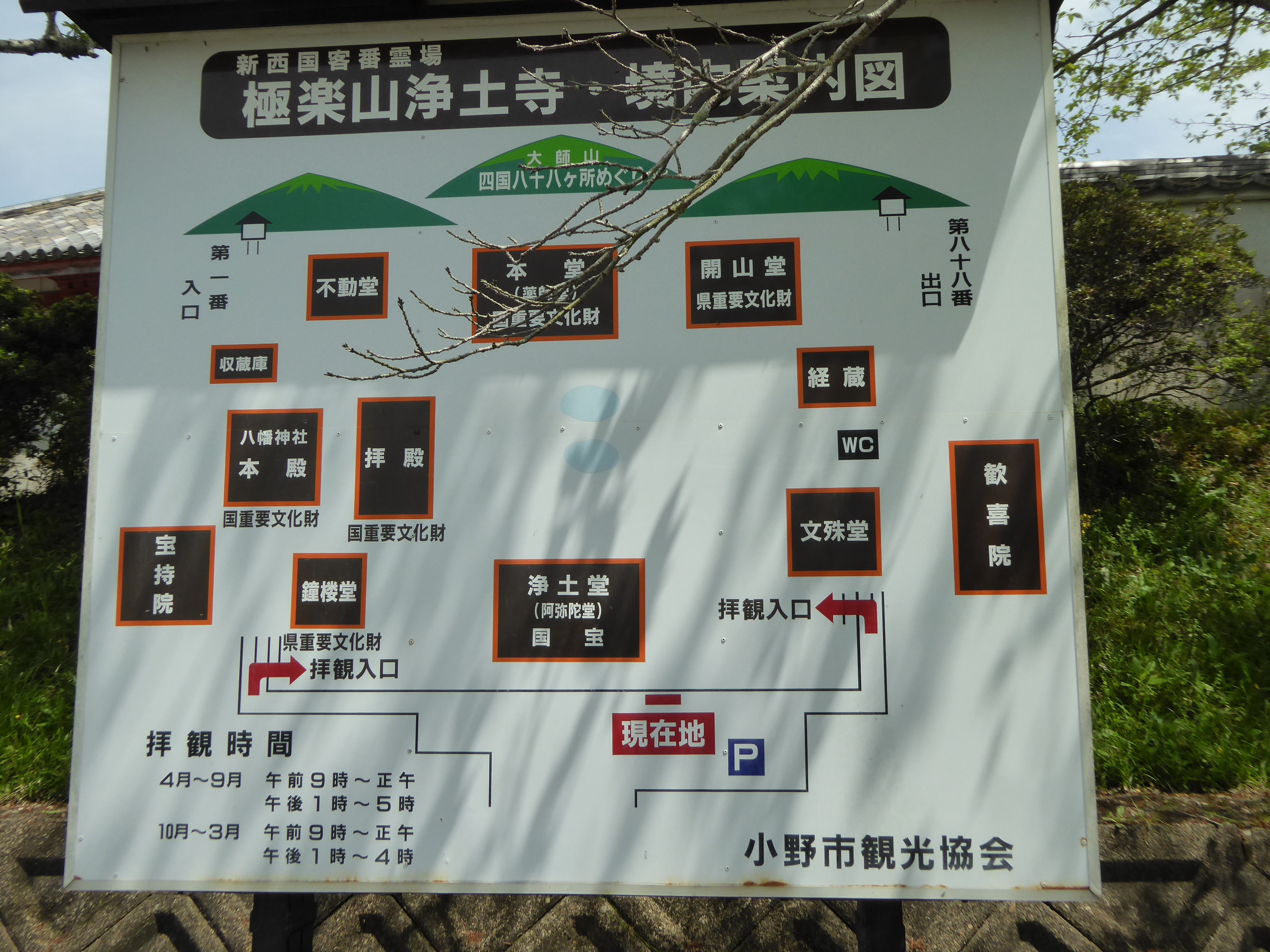 P1060011.JPG