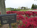 img0003.jpg
