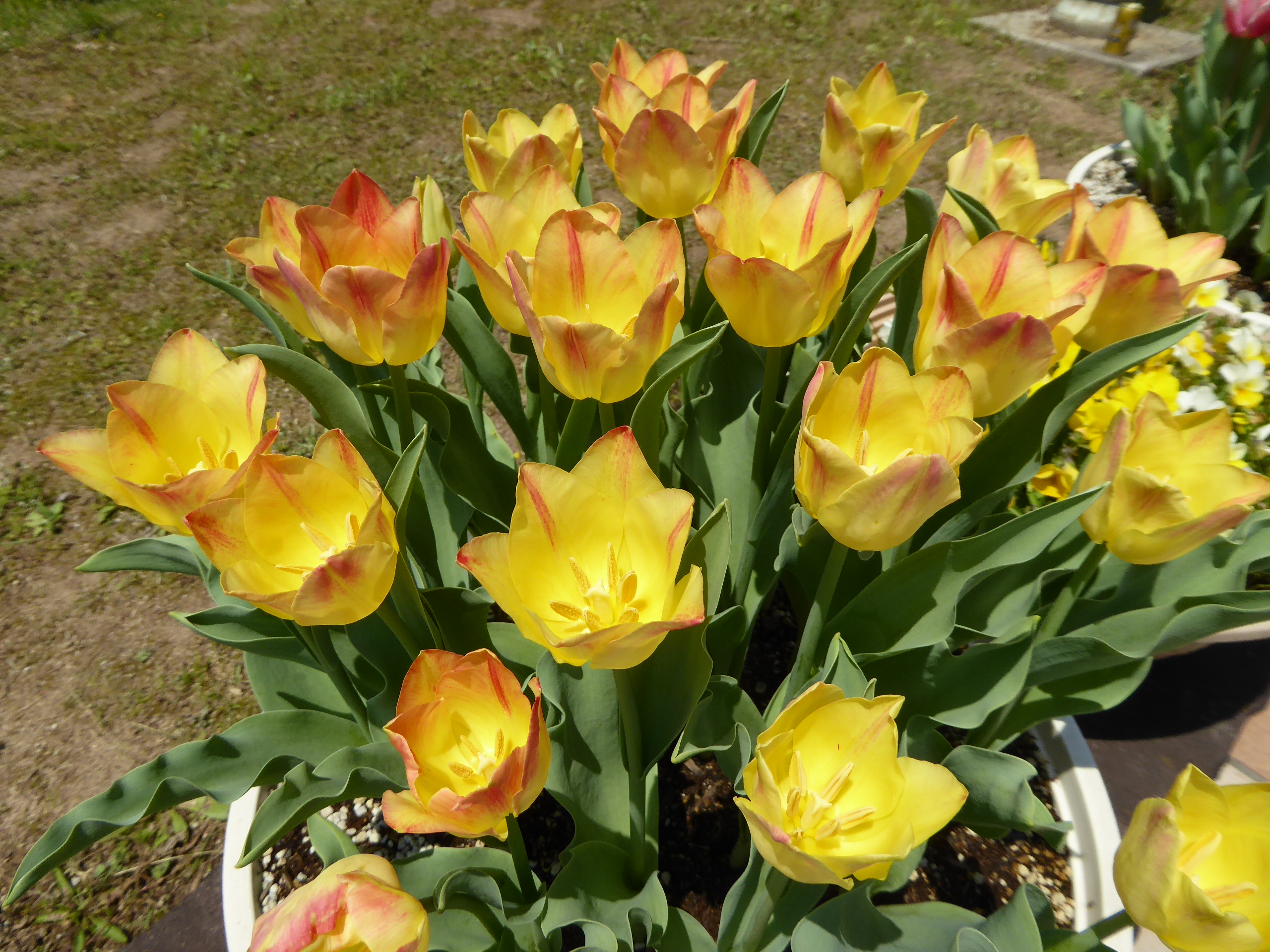 P1060032.JPG