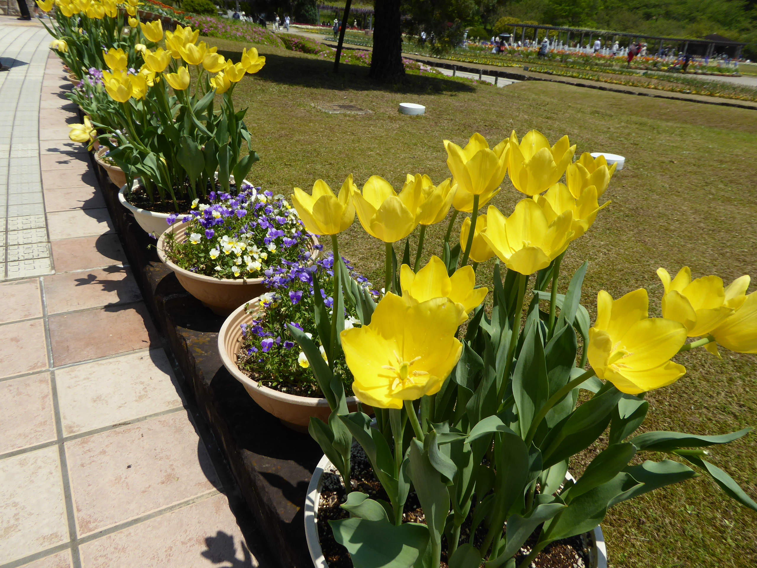 P1060034.JPG