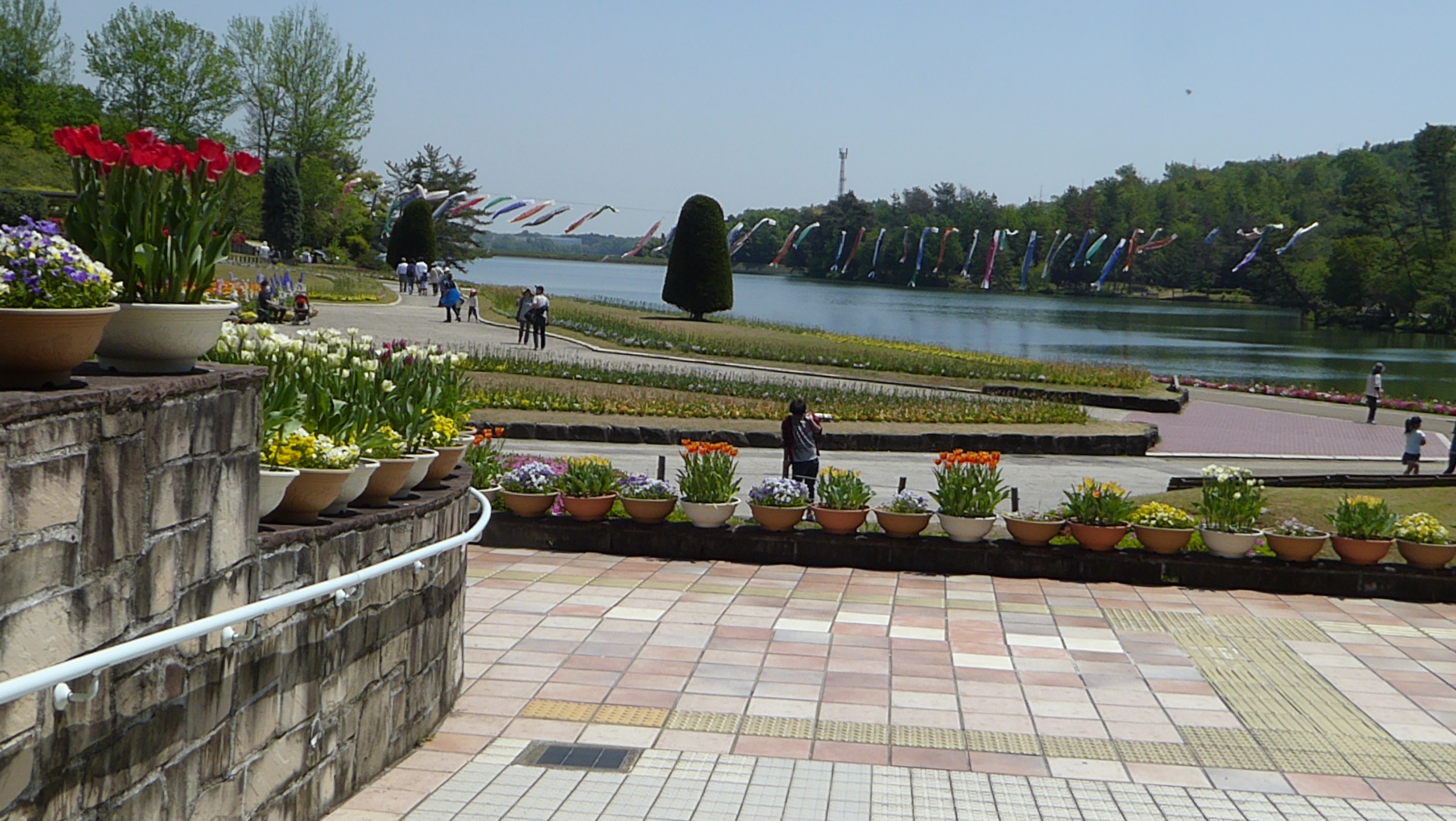 P1060036.JPG