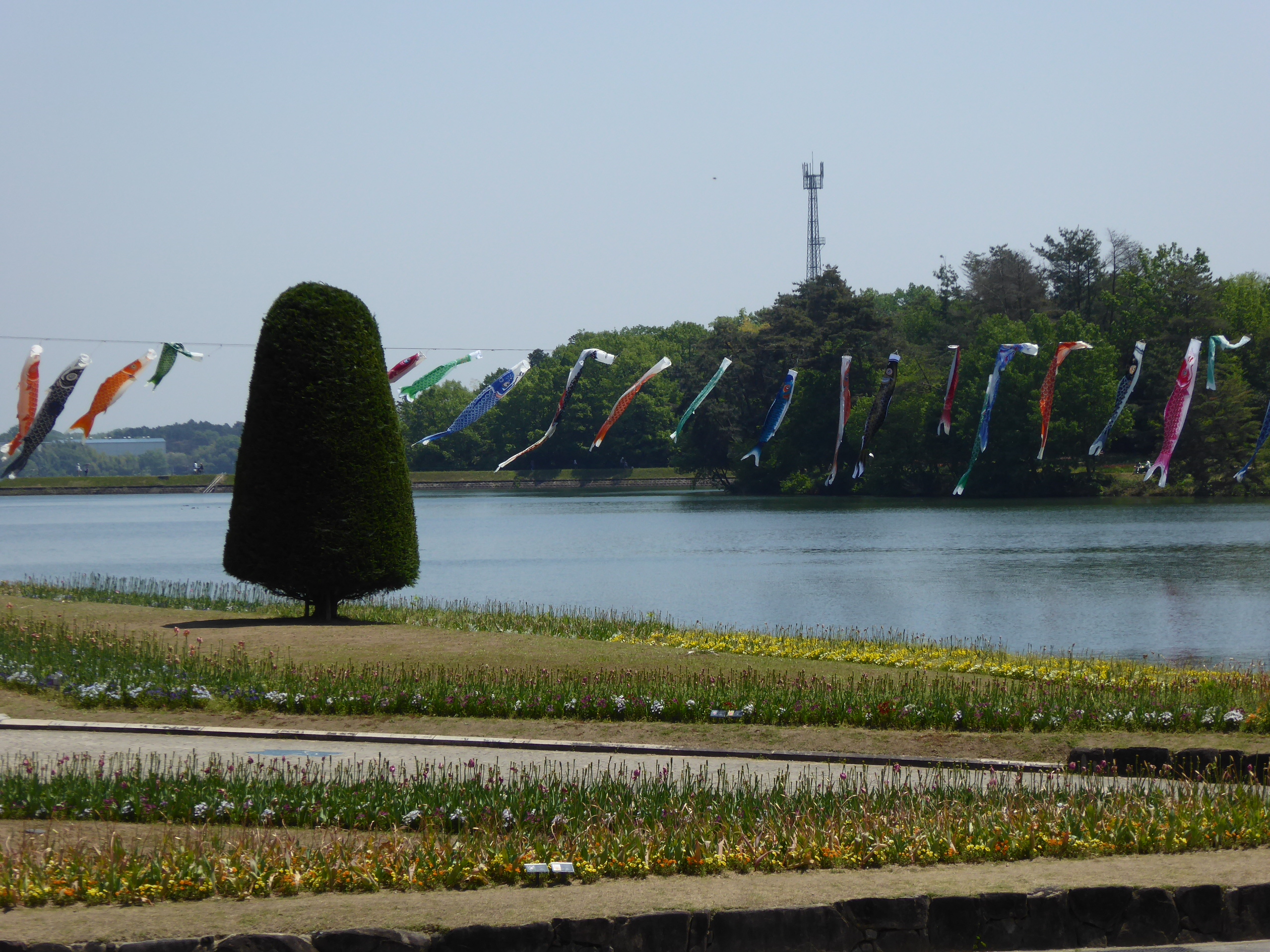 P1060037.JPG