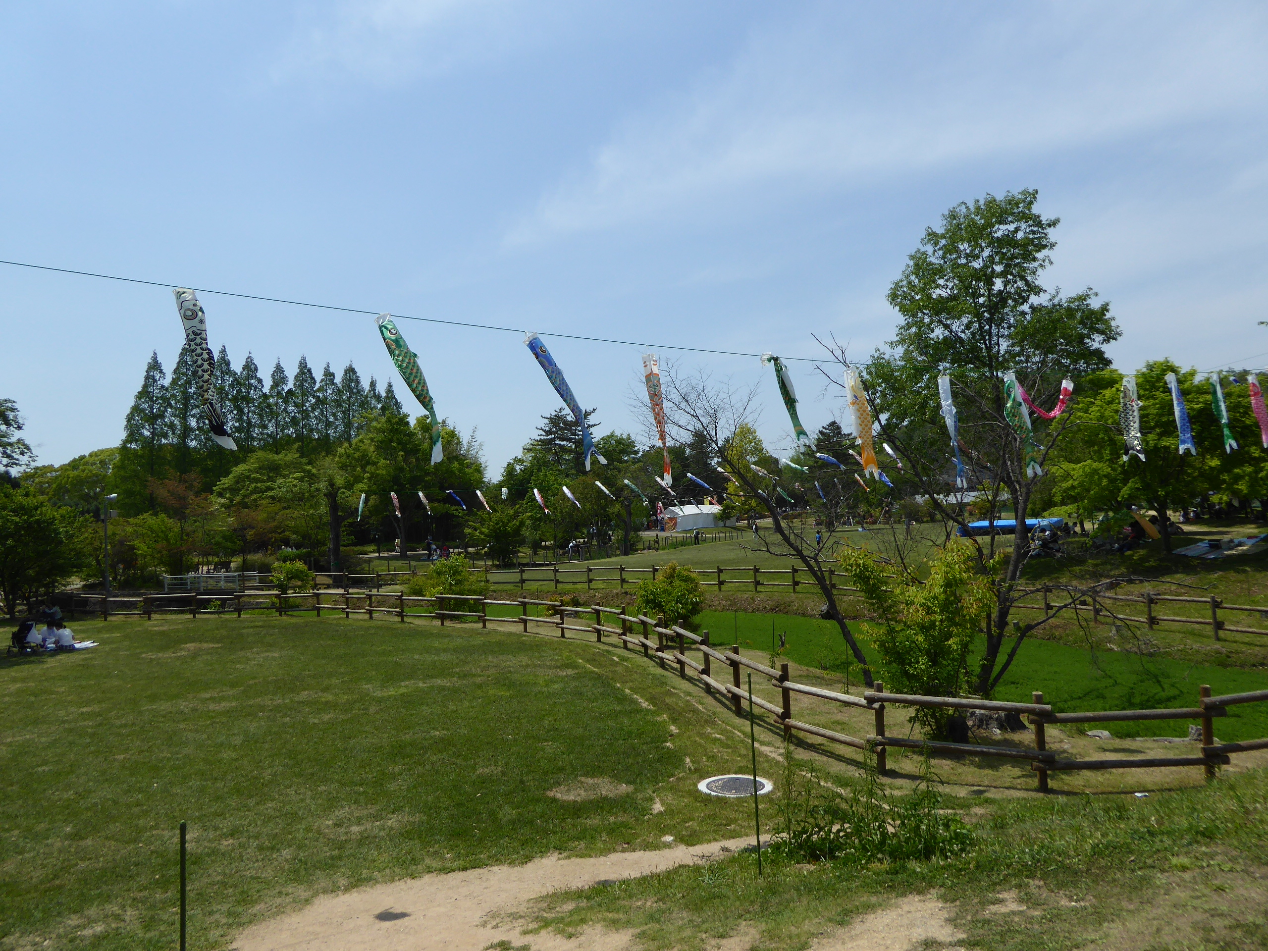 P1060042.JPG