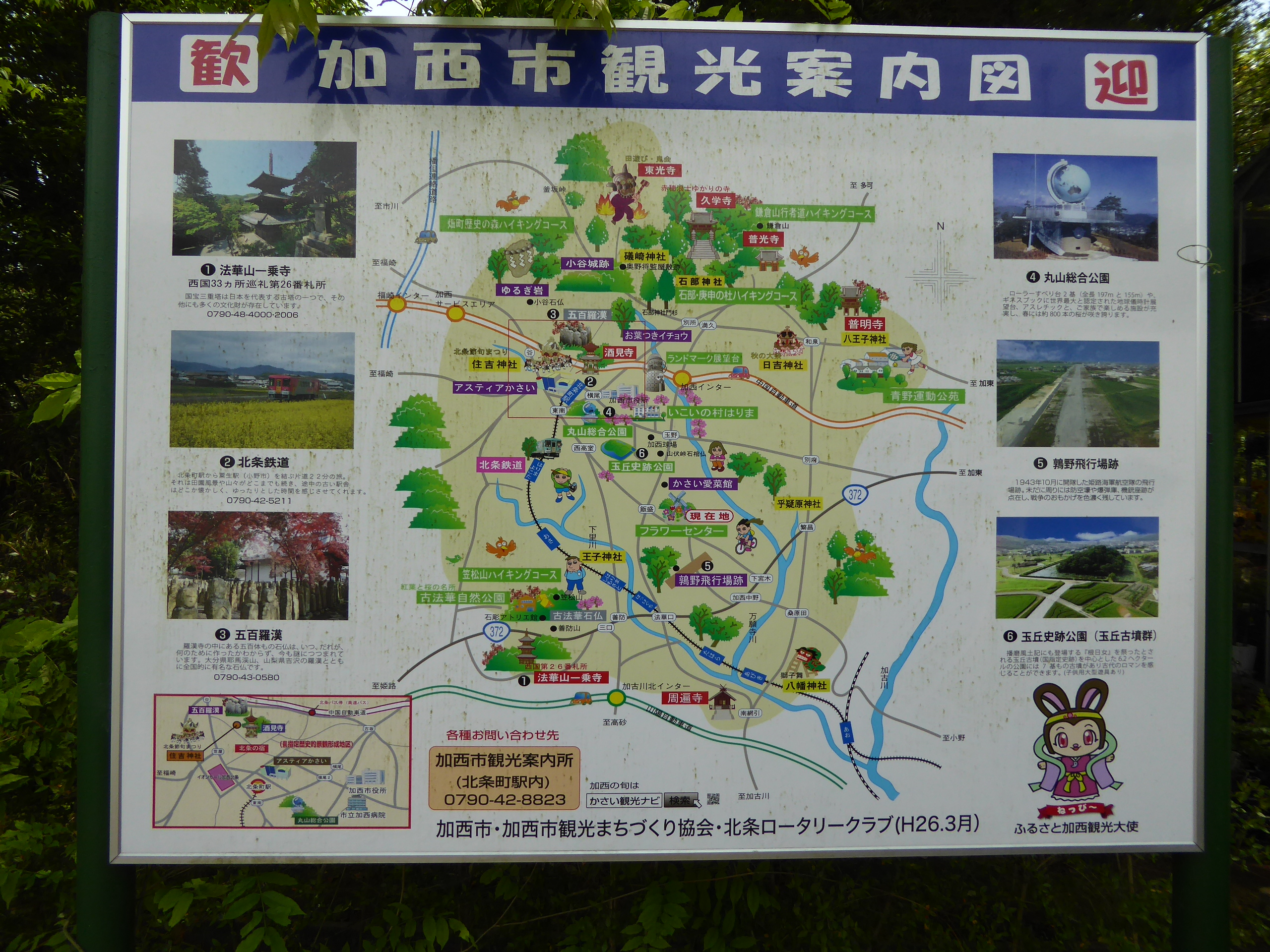 P1060044.JPG