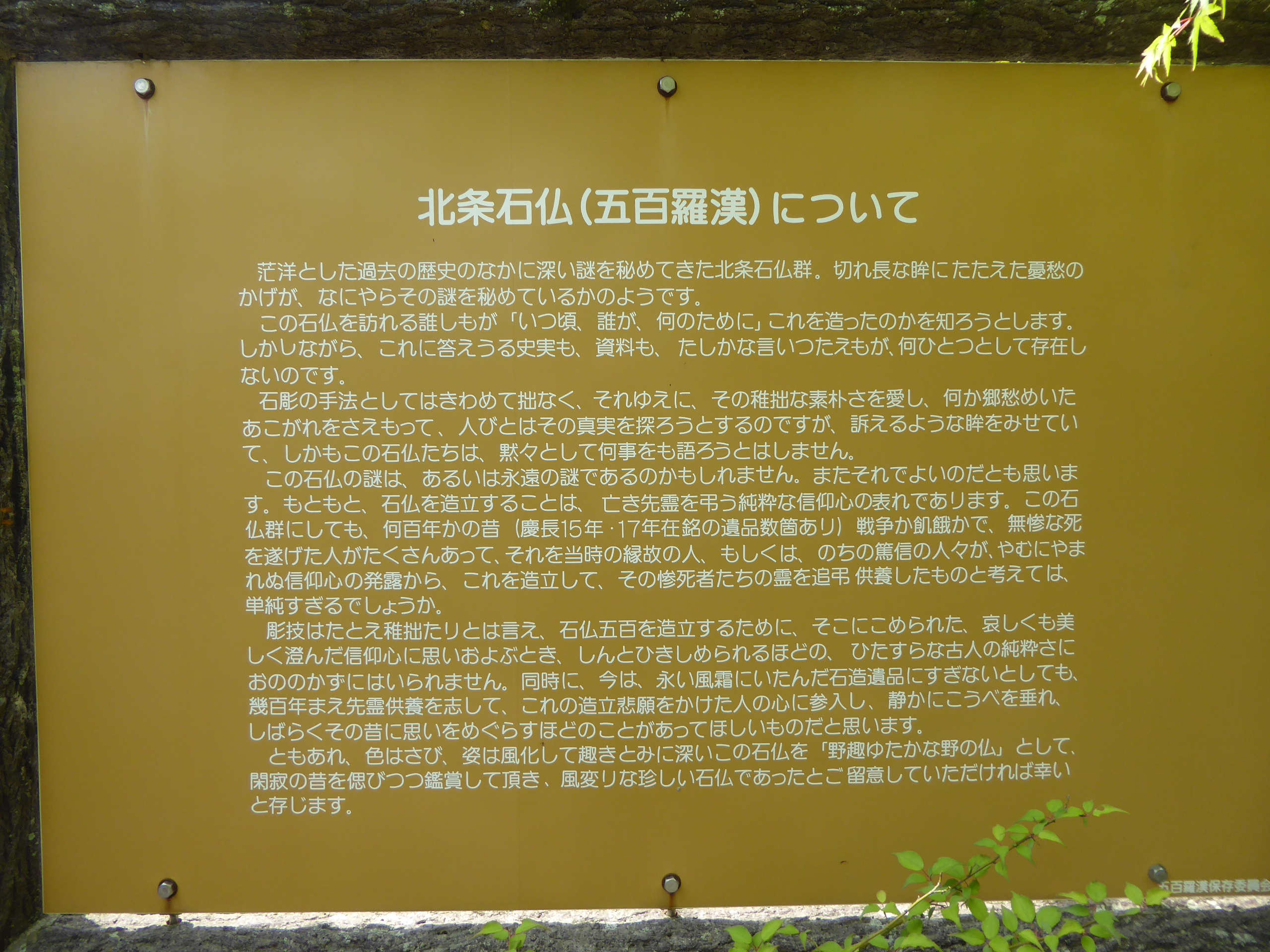 P1060045.JPG
