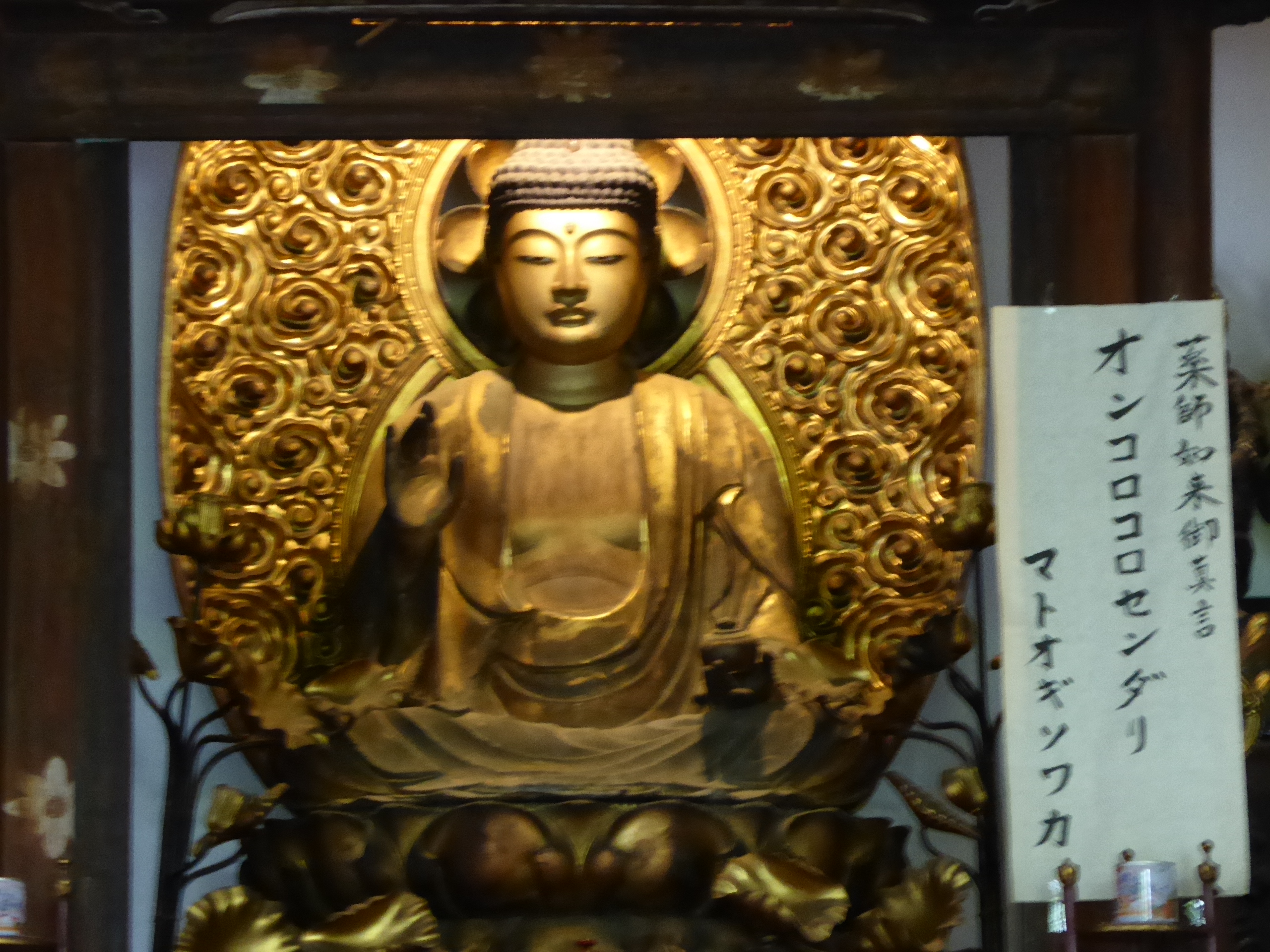 P1060049.JPG