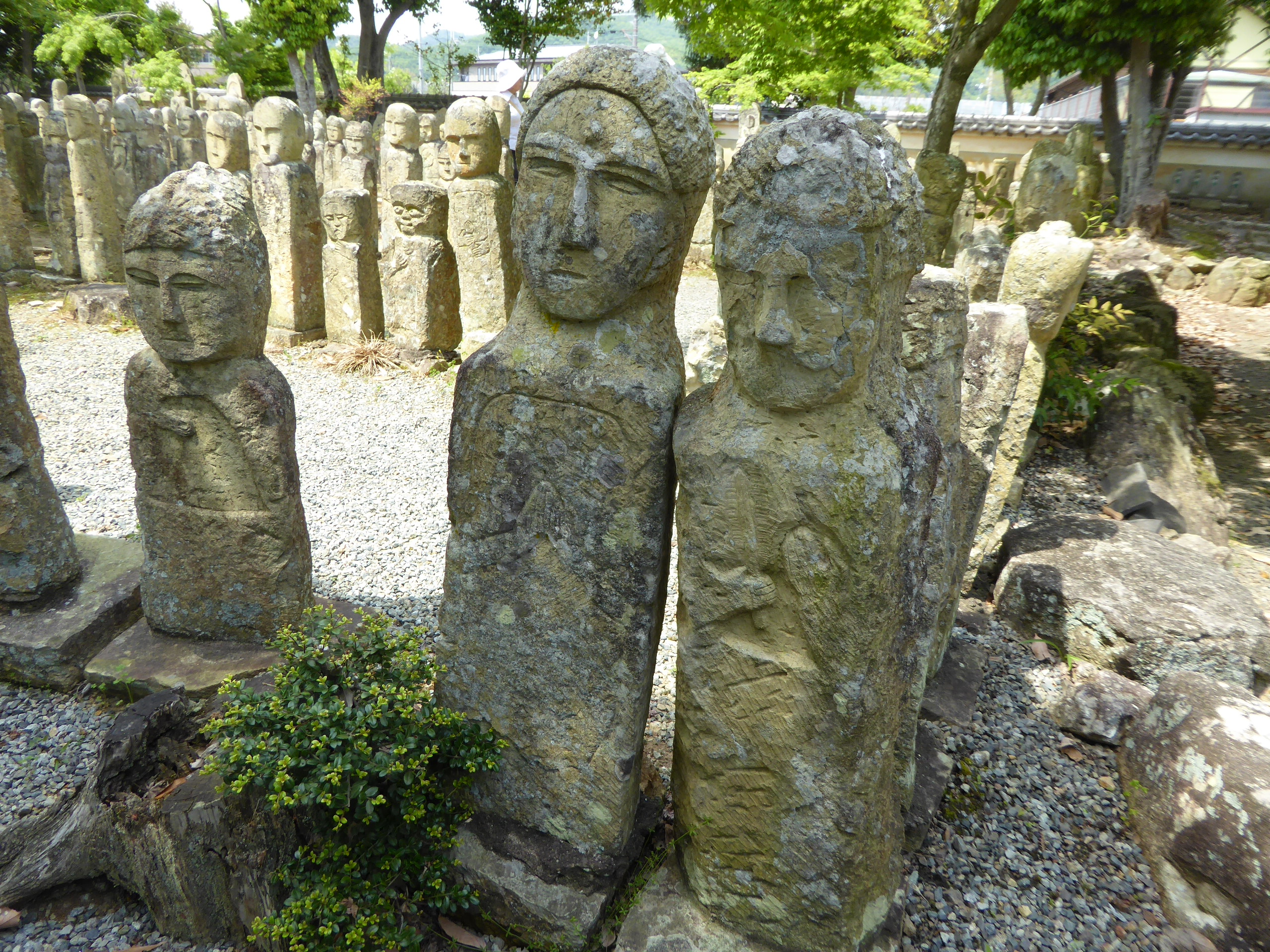 P1060050.JPG