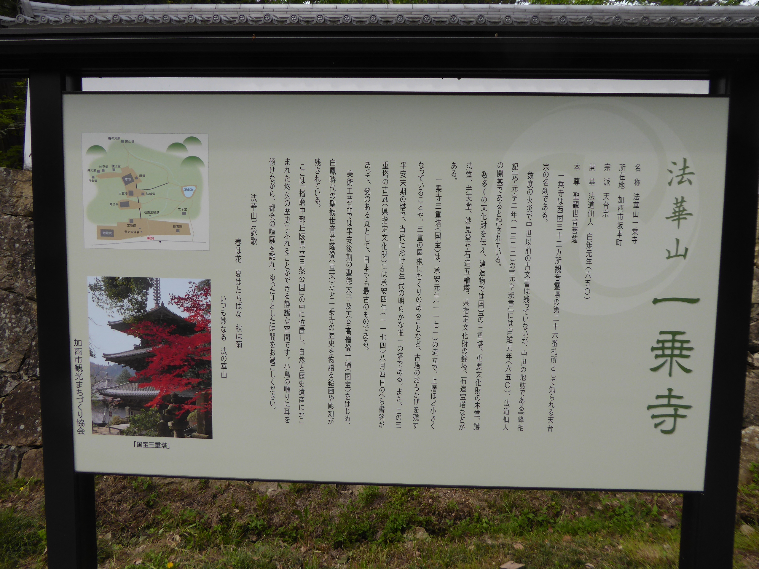 P1060067.JPG