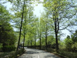 img0000.jpg