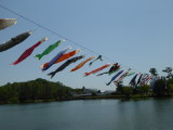img0010.jpg