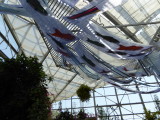 img0012.jpg