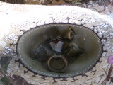 img0001.jpg