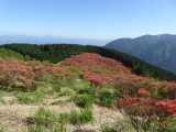 img0001.jpg