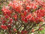 img0004.jpg