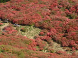 img0009.jpg