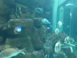 img0006.jpg