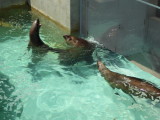 img0010.jpg