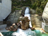 img0011.jpg