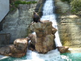 img0014.jpg