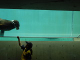 img0017.jpg