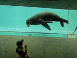 img0021.jpg