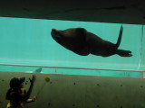 img0022.jpg