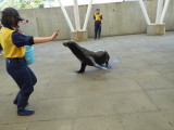 img0026.jpg