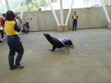 img0027.jpg