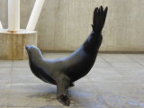 img0029.jpg