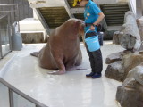 img0041.jpg