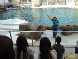 img0042.jpg